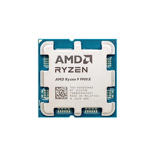 AMD RYZEN 9 9900X
