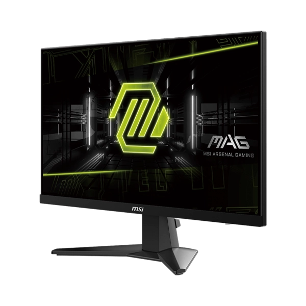 MSI 25 MAG 256F 2