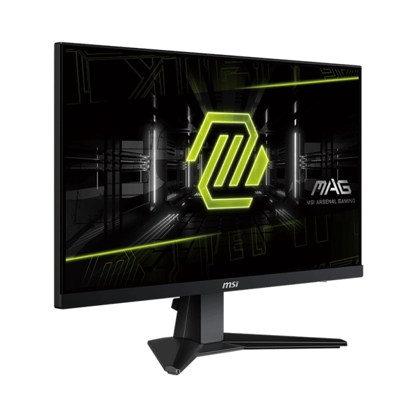 MSI 25 MAG 256F 3