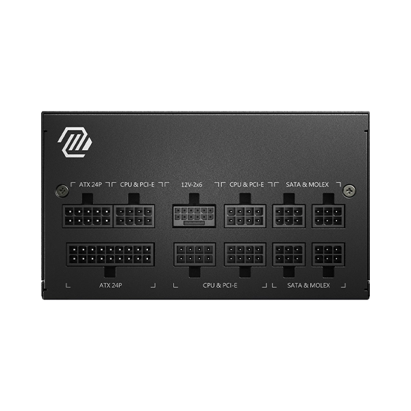 MSI MAG A850GL 1
