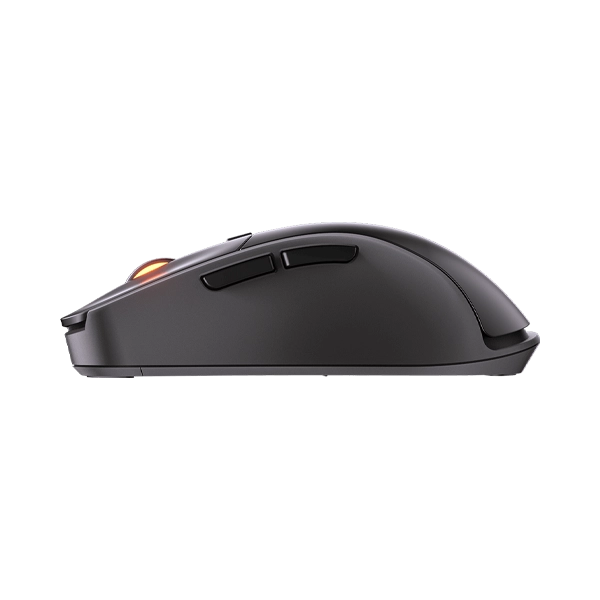 Surpassion RX 1