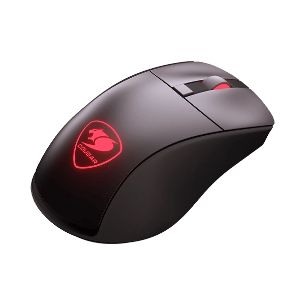 Surpassion RX 5